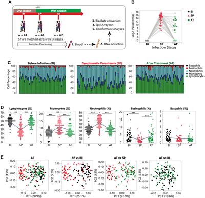 Impact of Plasmodium falciparum infection on DNA methylation of circulating immune cells